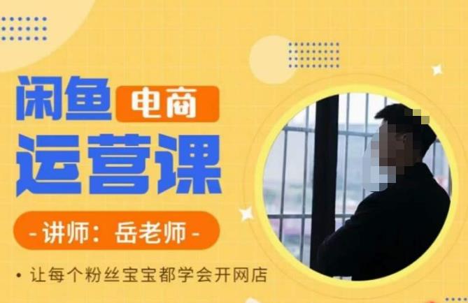 岳老师·闲鱼电商运营课，让每个粉丝宝宝都学会开网店-优品网赚资源库