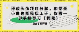 漫改头像项目分解,即使是小白也能轻松上手,仅需一部手机即可【揭秘】-优品网赚资源库