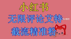 小红书无限评论艾特截流精准粉（软件+教程）-优品网赚资源库