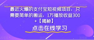 最近火爆的支付宝短视频项目,只需要简单的搬运,1万播放收益300+【揭秘】-优品网赚资源库