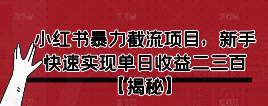 小红书暴力截流项目，新手快速实现单日收益二三百【仅揭秘】-优品网赚资源库
