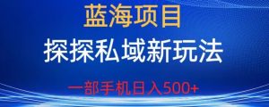 蓝海项目,探探私域新玩法,一部手机日入500+很轻松【揭秘】-优品网赚资源库