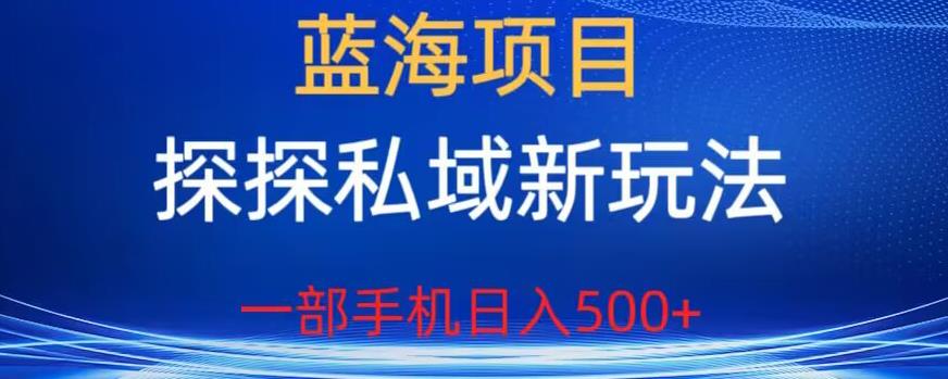 蓝海项目,探探私域新玩法,一部手机日入500+很轻松【揭秘】-优品网赚资源库