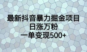 最新抖音暴力掘金项目，日涨万粉，一单变现500+【揭秘】-优品网赚资源库