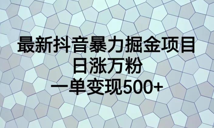 最新抖音暴力掘金项目，日涨万粉，一单变现500+【揭秘】-优品网赚资源库