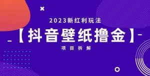 抖音壁纸小程序创作者撸金项目，2023新红利玩法【项目拆解】-优品网赚资源库