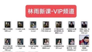 林雨新课VIP频道,玩赚私域/朋友圈/社群-优品网赚资源库