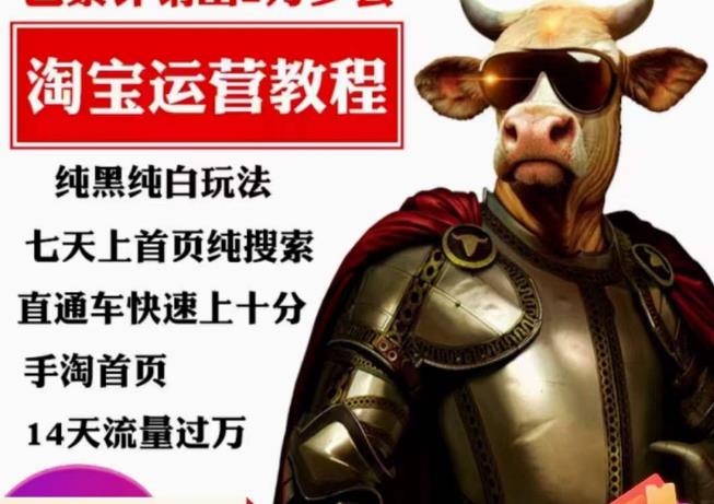 猫老师·淘系算法逆向解密，​纯黑纯白玩法，七天上首页纯搜索，手淘首页14天流量过万-优品网赚资源库