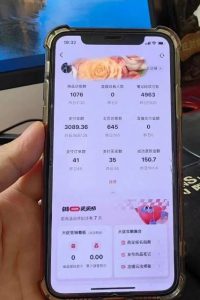 超级蓝海赛道保姆级教学,小红书无货源,无需实拍,如何做到日入1000+【揭秘】-优品网赚资源库