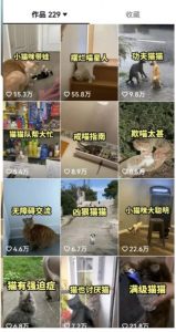 拆解：抖音盘点类中视频变现副业项目，视频版一条龙大解析分享给你-优品网赚资源库