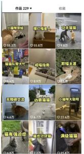 拆解抖音盘点类中视频变现副业项目,视频版一条龙大解析分享给你【视频课程】-优品网赚资源库