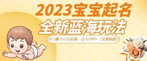 2023宝宝起名全新蓝海玩法，冷门暴力小白实操，日入1000+（全套教程）【揭秘】-优品网赚资源库