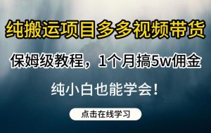 纯搬运项目多多视频带货保姆级教程,1个月搞5w佣金,纯小白也能学会【揭秘】-优品网赚资源库