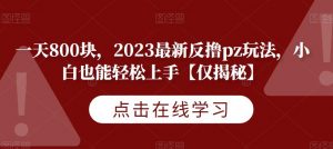 一天800块，2023最新反撸pz玩法，小白也能轻松上手【仅揭秘】-优品网赚资源库