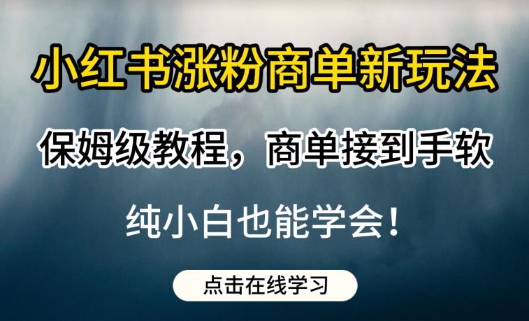 小红书涨粉商单新玩法，保姆级教程，商单接到手软，纯小白也能学会【揭秘】-优品网赚资源库