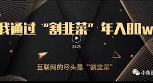 知识付费才是最好的项目,教你如何通过知识付费月入5万【揭秘】-优品网赚资源库