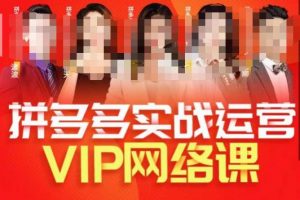 推易拼多多VIP全套直播课程，拼多多店铺实操玩法+实战玩法选款内功+直通车高阶等-优品网赚资源库