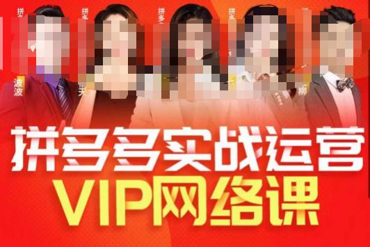 推易拼多多VIP全套直播课程,拼多多店铺实操玩法+实战玩法选款内功+直通车高阶等-优品网赚资源库