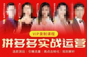 2023推易拼多多实战运营，选款测品、引爆流量、高点击转化、规则解析-优品网赚资源库