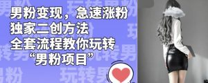 男粉变现,急速涨粉独家二创方法,全套流程教你玩转“男粉项目”【揭秘】-优品网赚资源库