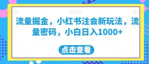 流量掘金，小红书注会新玩法，流量密码，小白日入1000+【揭秘】-优品网赚资源库
