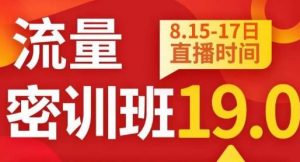 秋秋线上流量密训班19.0，打通流量关卡，线上也能实战流量破局-优品网赚资源库