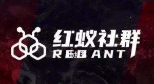 社群运营:红蚁社群【48节落地系统课程+2000人高端社群】-优品网赚资源库