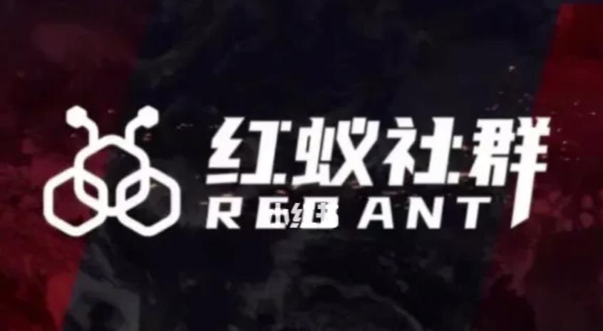 社群运营：红蚁社群【48节落地系统课程+2000人高端社群】-优品网赚资源库