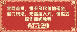 全网首发，拼多多砍价撸现金，偏门玩法，无需拉人头，傻瓜式操作保姆教程【揭秘】-优品网赚资源库