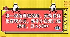 第一视角类短视频，更新多样化变现方式，新手小白无门槛操作，日入500+【揭秘】-优品网赚资源库