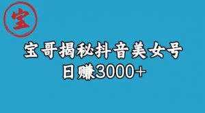 宝哥揭秘抖音美女号玩法，日赚3000+【揭秘】-优品网赚资源库