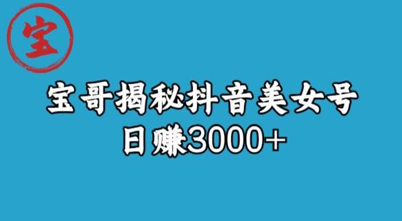 宝哥揭秘抖音美女号玩法，日赚3000+【揭秘】-优品网赚资源库