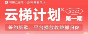 2023年8月份网易云最新独家挂机技术,真正实现挂机月入5000【揭秘】-优品网赚资源库