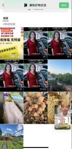 外面收费198的最新视频号连怼技术,条条原创,条条爆单【揭秘】-优品网赚资源库