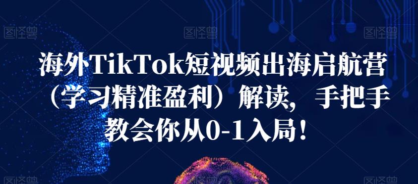 海外TikTok短视频出海启航营（学习精准盈利）解读，手把手教会你从0-1入局！-优品网赚资源库