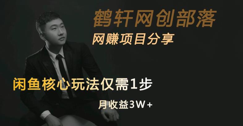 闲鱼核心玩法不卖货也能1年变现20W，玩法简单-优品网赚资源库