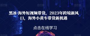 黑冰·海外短视频带货,2023年跨境新风口,海外小黄车带货新机遇-优品网赚资源库