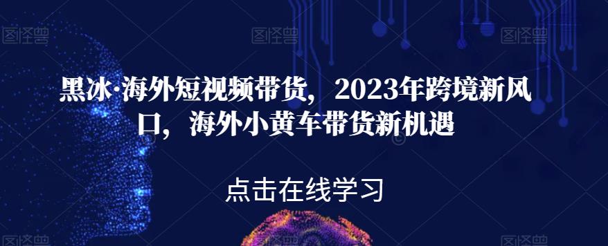 黑冰·海外短视频带货,2023年跨境新风口,海外小黄车带货新机遇-优品网赚资源库