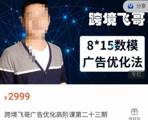 跨境飞哥·广告优化高阶课第二十三期，​8*15数模广告优化法，用数据驱动决策-优品网赚资源库