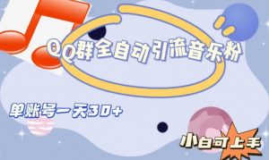 QQ群全自动引流音乐粉，单账号一天轻松引流30+-优品网赚资源库