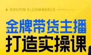 金牌带货主播打造实操课,直播间小公主丹丹老师告诉你,百万主播不可追,高效复制是王道!-优品网赚资源库