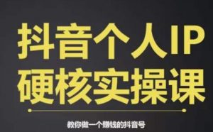 个人IP创富系统实战课,商业定位,流量打造,短视频变现,教你做个赚钱的抖音号-优品网赚资源库