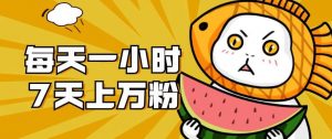 暴力涨粉项目：每天一小时，七天上万粉【揭秘】-优品网赚资源库