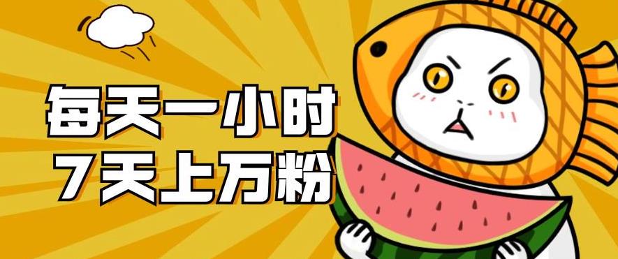 暴力涨粉项目:每天一小时,七天上万粉【揭秘】-优品网赚资源库
