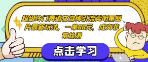 超级冷门赛道在微博引流卖明星图片最新玩法，一单88元，成交非常丝滑【揭秘】-优品网赚资源库