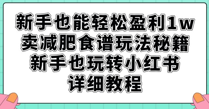 新手也能轻松盈利1w，卖减肥食谱玩法秘籍，新手也玩转小红书详细教程【揭秘】-优品网赚资源库