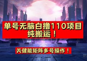 9月全网首发,单号直接白撸110!可多号操作,无脑搬运复制粘贴【揭秘】-优品网赚资源库