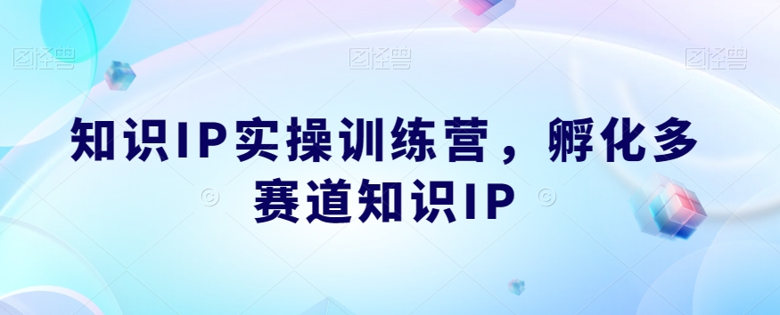 知识IP实操训练营,孵化多赛道知识IP-优品网赚资源库