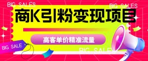 商K引粉变现项目，高客单价精准流量【揭秘】-优品网赚资源库