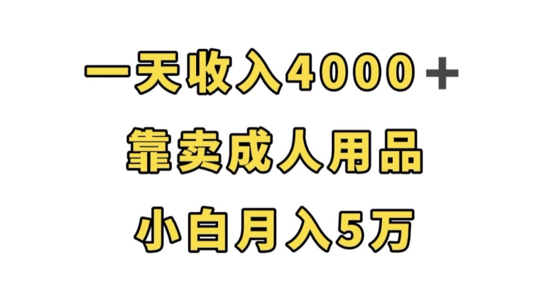 一天收入4000+,靠卖成人用品,小白轻松月入5万【揭秘】-优品网赚资源库